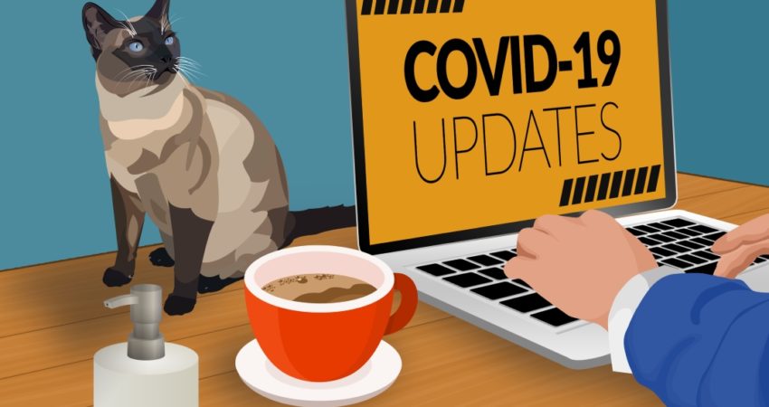 Obvestilo sproščanje ukrepov